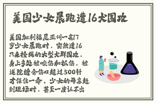 晶晶极限训练日记19