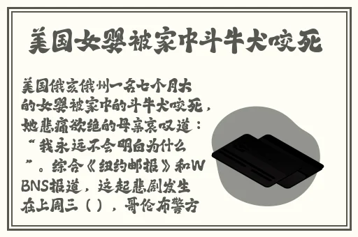 速度与激情HR成 版